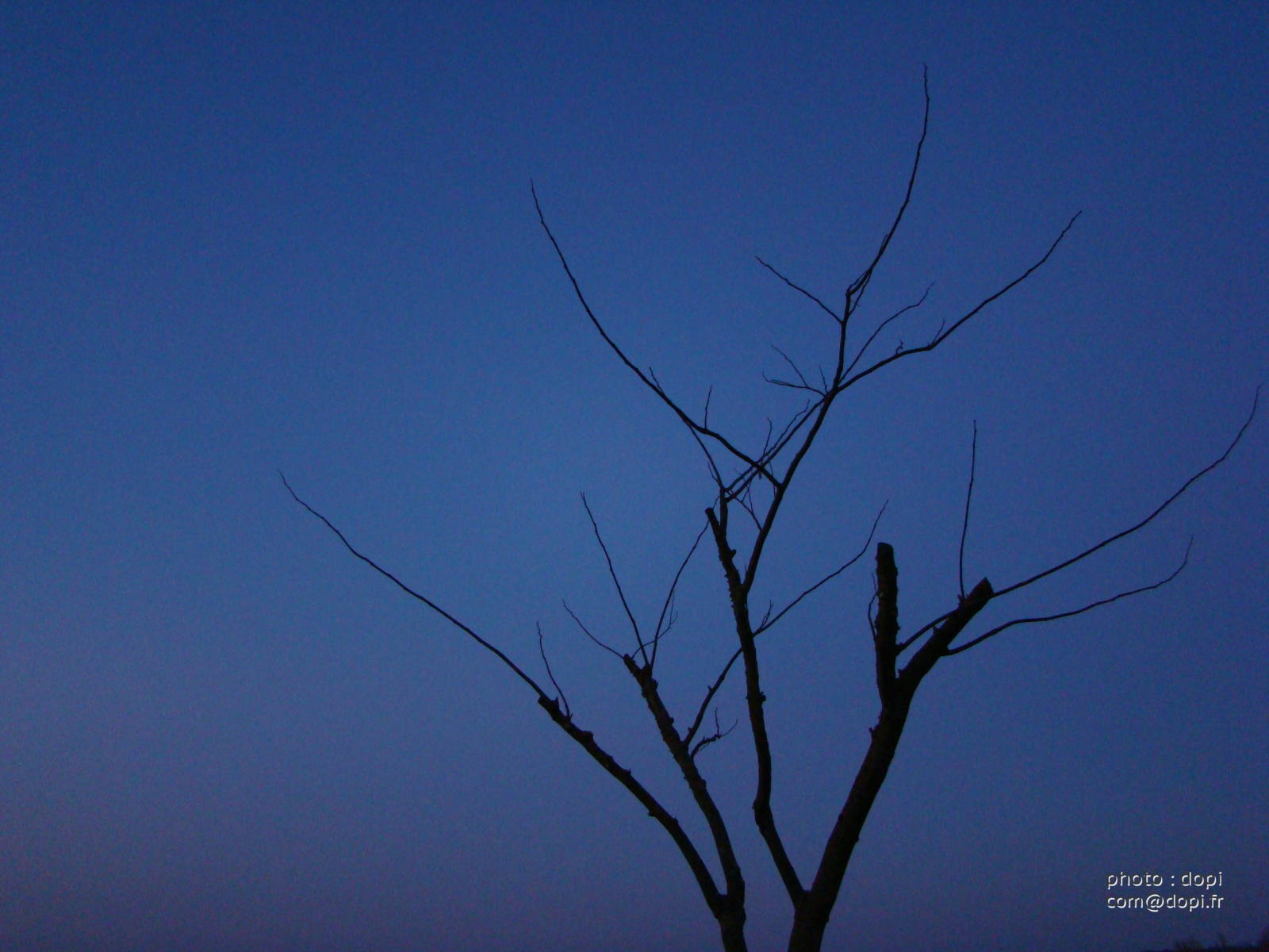 00001 mars2008 272,medium large.2x.1486913355